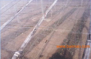 泰安EVA薄膜 品牌EVA大棚膜全资讯